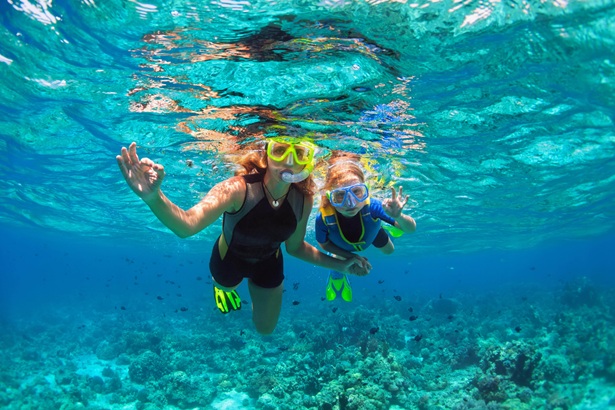 Snorkeling at Elephant Beach gallery image 2