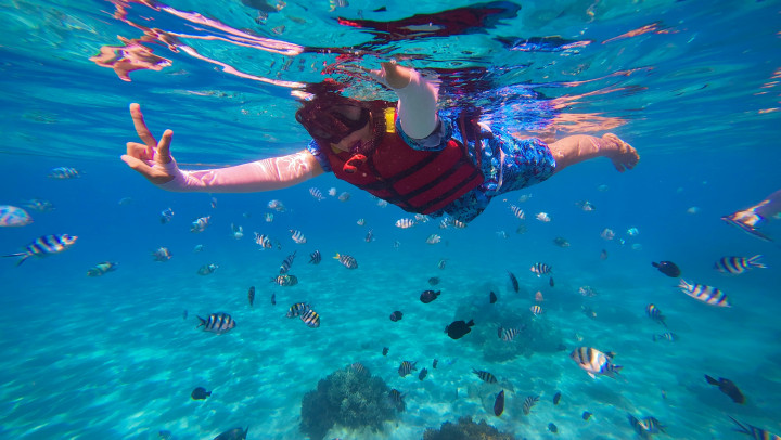 Snorkeling at Elephant Beach gallery image 4