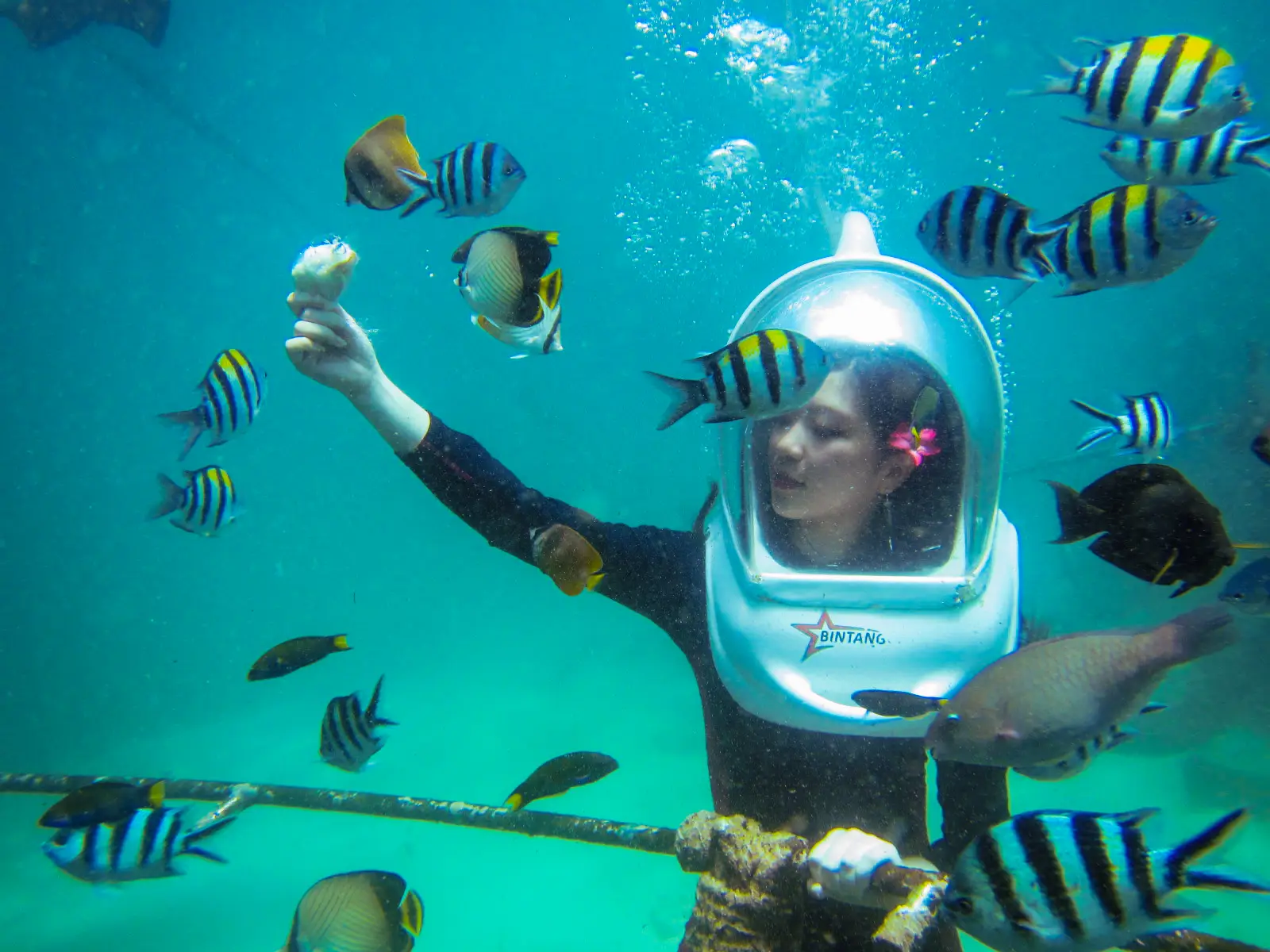 Sea Walk at North Bay Island gallery image 2