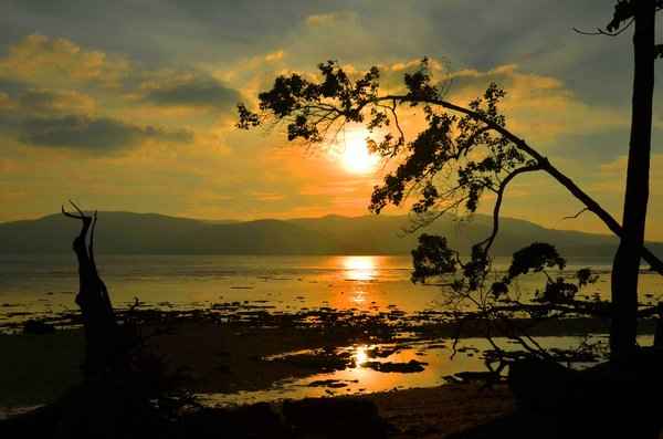 Chidiya Tapu Sunset Trip main view