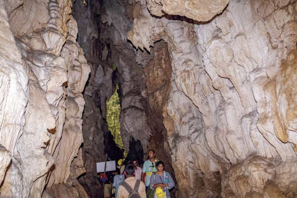 Baratang Limestone Cave Trip gallery image 4