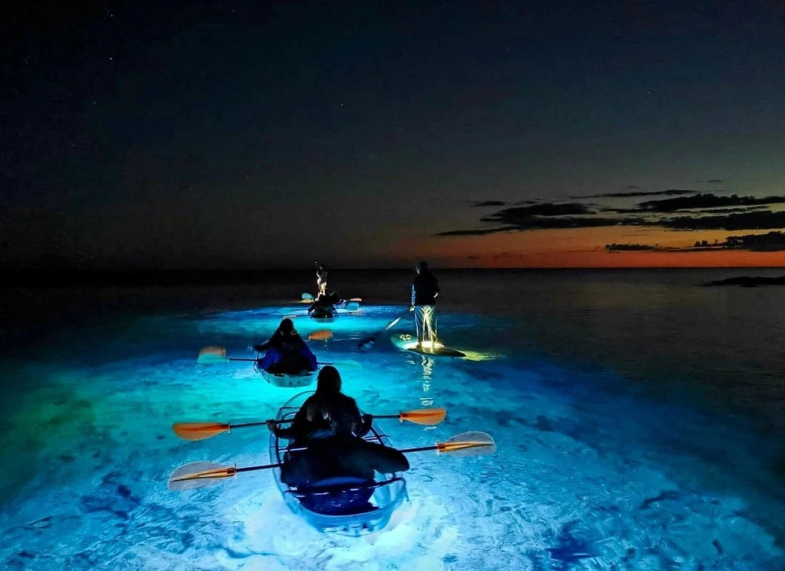Bioluminescence Kayaking at Havelock