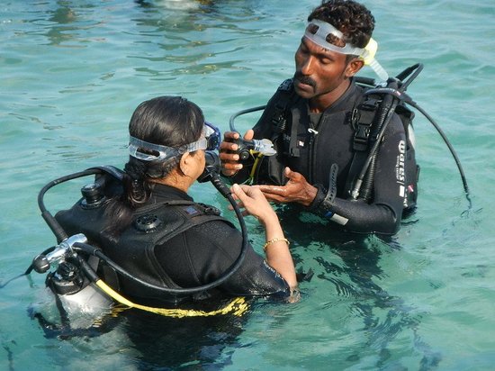 Shore Dive at Havelock