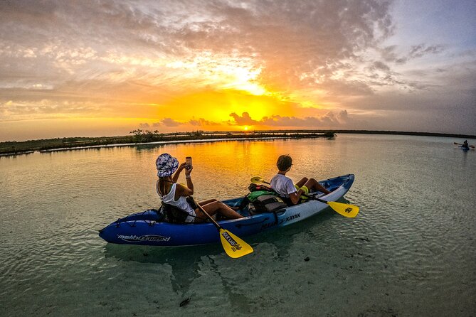 Sunrise Kayaking Havelock 1