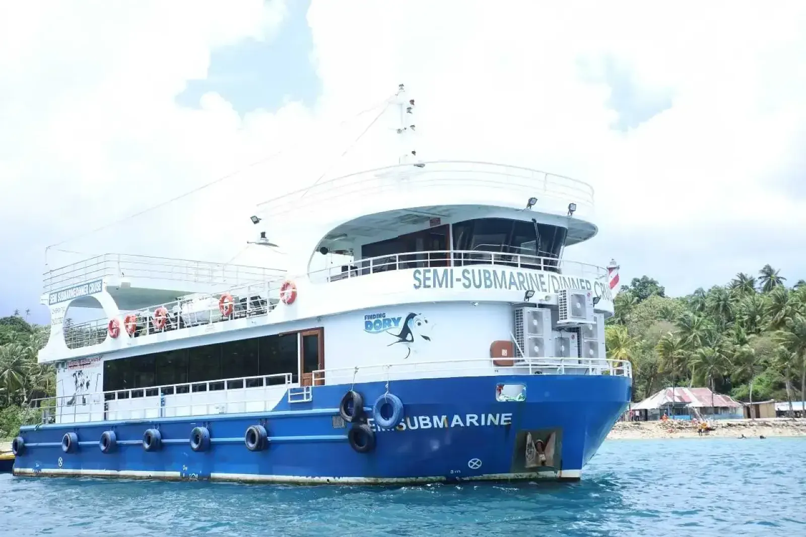 Elephant Beach Luxury Cruise with Glass-Bottom Coral Safari