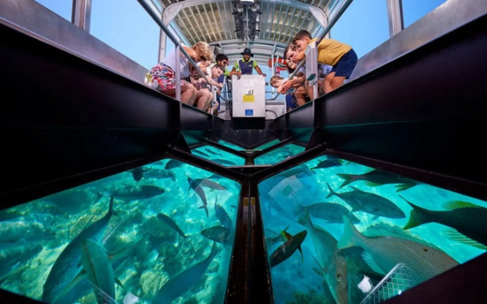 Glass Bottom Boat Ride at Neil Island