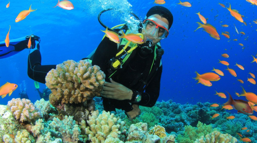 Scuba Diving in Andaman: Best Places, Beginner Advice and What to Expect