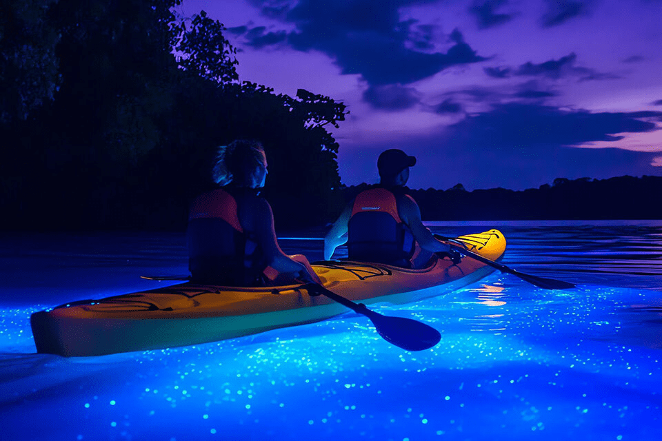 Bioluminescence Night Kayaking in Andaman: Best Conditions, Safety and What It Feels Like